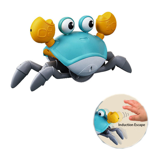 Baby Crab Toy